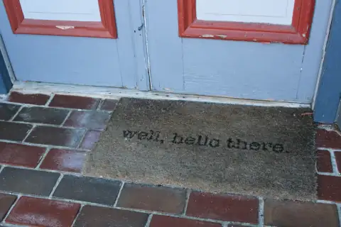 Doormats: a door mat that says well, hello there