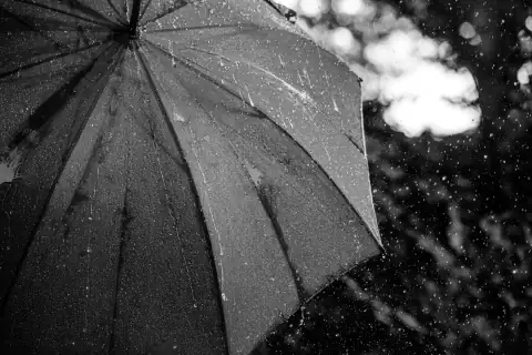 Umbrellas: grayscale photography of umbrella