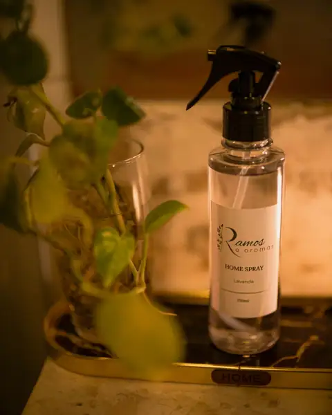 Air fresheners: Clear home spray bottle next to a potted green plant