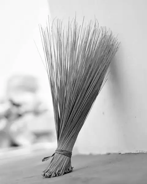Brooms: a close-up of a feather