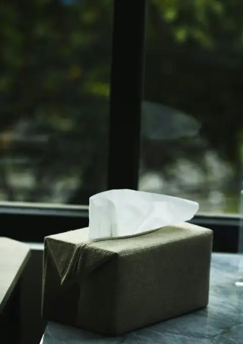 Tissue paper: gray box beside glass window